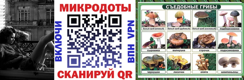 Псилоцибиновые грибы Psilocybe Купить Волхов